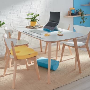 Leitz Cosy Ergo Sittkudde