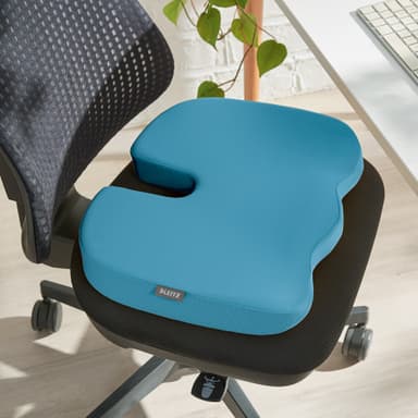 Leitz Cosy Ergo Sittkudde
