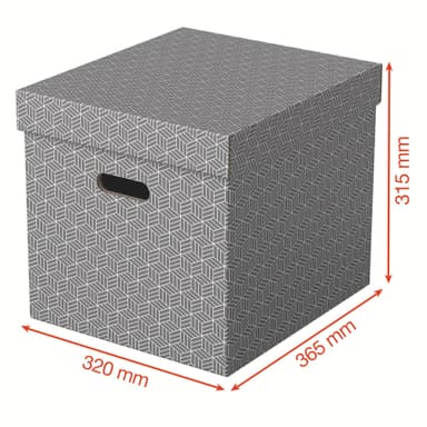 Esselte Hemförvaringsbox Kub, 3-pack