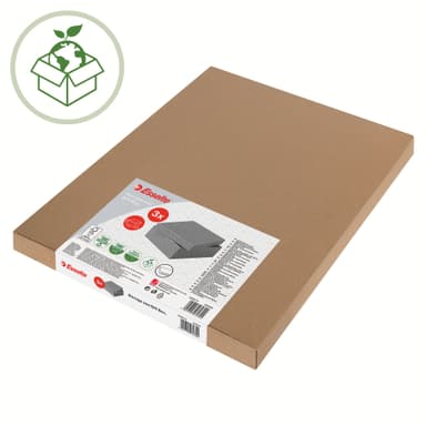 Esselte Hemförvaringsbox Medium, 3-pack