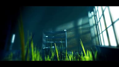Acanthoceras - PC Windows