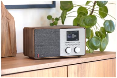 Pinell Supersound 301 digitalradio (valnöt)