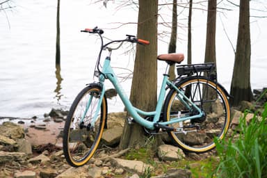 Vaya Classic elcykel 735242 (grå)