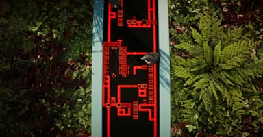 The Forest Cathedral - PC Windows