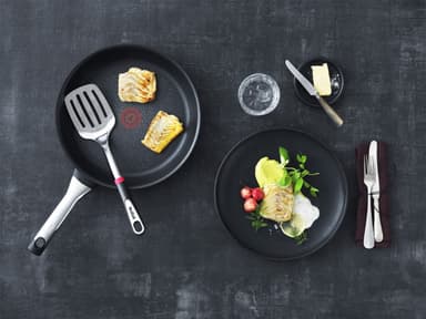 Tefal Talent Pro Stekpanneset 24cm/28cm + Stekspade