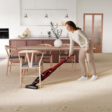 Electrolux Well Q6 dammsugare 900277555 (chiliröd)