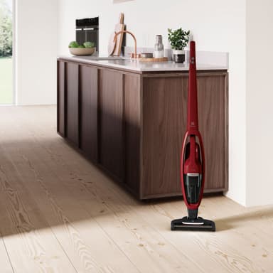 Electrolux Well Q6 dammsugare 900277555 (chiliröd)