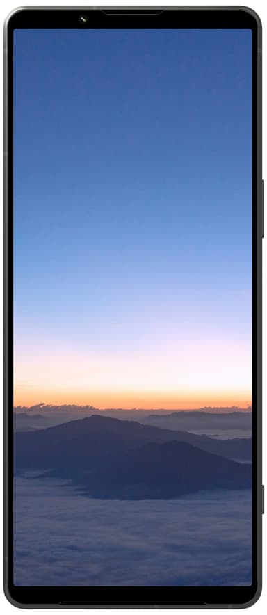 Sony Xperia 1 V 5G smartphone 12/256GB (grön)