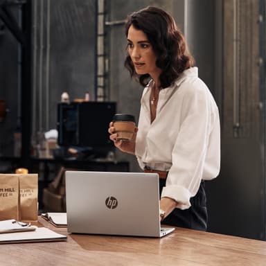 HP ProBook 440 14 inch G9 14" Laptop (Silver)