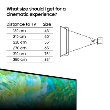 Samsung 55" CU8075 4K LED Smart TV (2023)