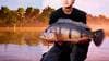 Fishing Sim World 2020 - Pro Tour Collectors Edition PC