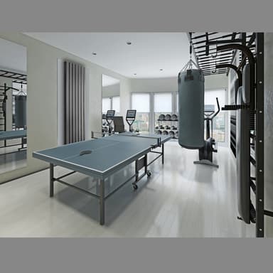 ECD Germany badrumsradiator Stella - 260 x 1600 mm - antracit