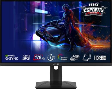 MSI G274QPF 27" IPS bildskärm för gaming