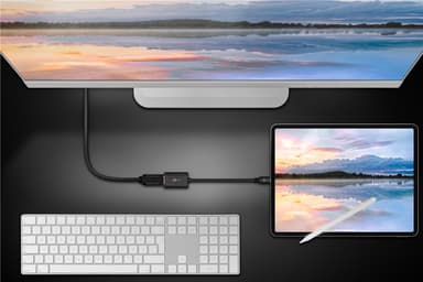USB-C™ till DisplayPort-adapter