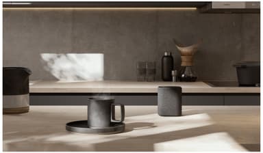 Yamaha True X trådlös högtalare (mörkgrå)