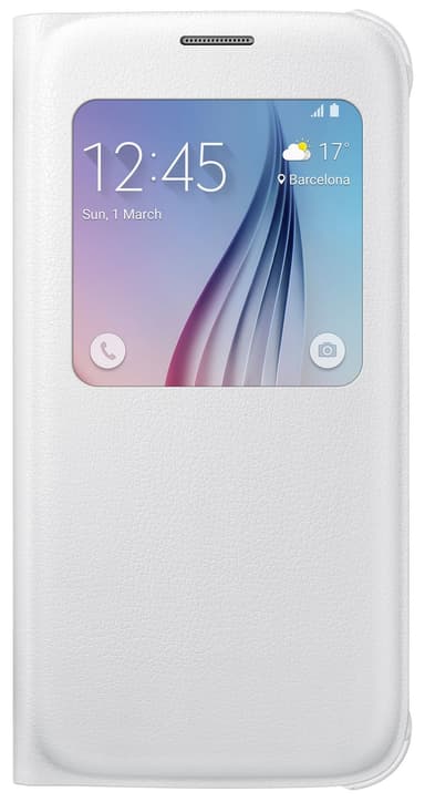 s6 silver