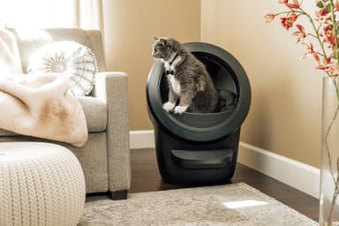 Whisker LitterRobot 4 Automatic Cat Litter Box Svart Elgiganten