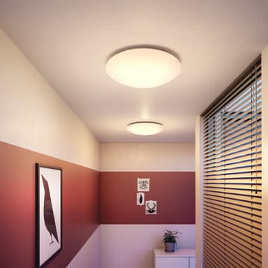 Philips Suede Plafond 24 W