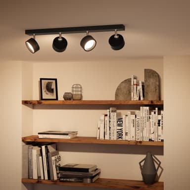 Philips Bracia spotlight 22 W
