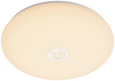 Philips Mauve taklampa 16 W