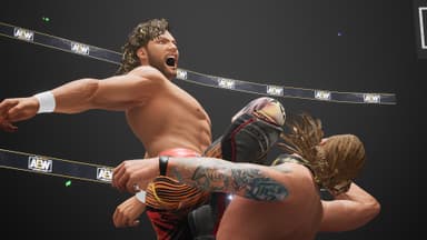 AEW: Fight Forever - PC Windows