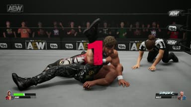 AEW: Fight Forever - PC Windows