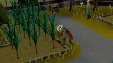 Old School RuneScape 12-Month Membership + OST - PC Windows,Mac OSX