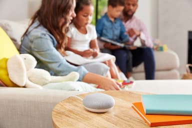 Google Home Mini - svenska (chalk)