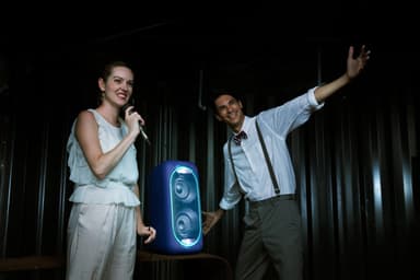 Sony A/V partyhögtalare GTKXB60 (blå)