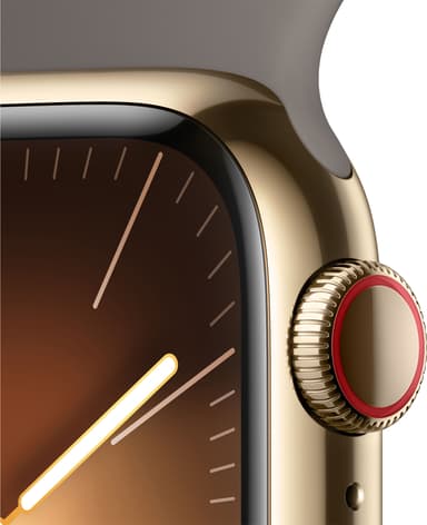 Apple Watch S9 45mm GPS+CEL (Gold Stainless/Clay sportband) M/L