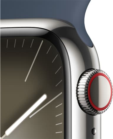 Apple Watch S9 41mm GPS+CEL (Silver SS/Storm Bluet sportband) M/L