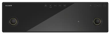 Sony SRS X99 Trådlös högtalare (svart)
