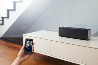 Sony SRS X99 Trådlös högtalare (svart)