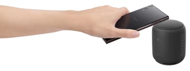 Sony XB10 trådlös högtalare SRS-XB10 (svart)
