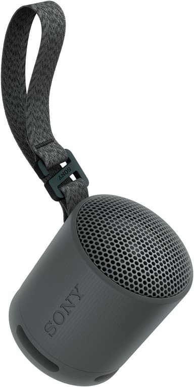 Sony SRS-XB100 trådlös bärbar högtalare (svart)