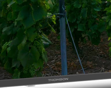 Thomson 65" QA2S13 4K QLED Smart TV (2023)