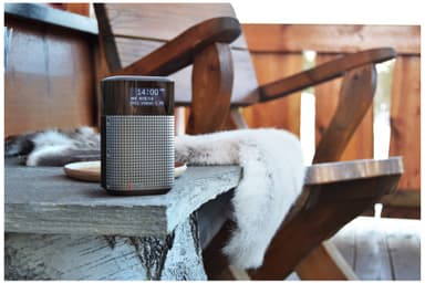 Pinell North Basic portabel digitalradio (svart)