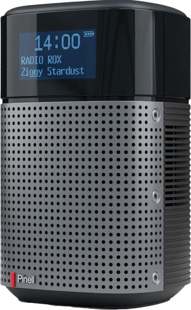 Pinell North Basic portabel digitalradio (svart)