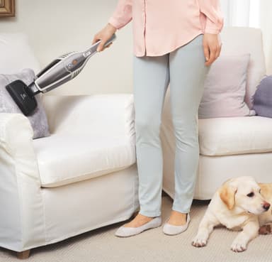 Electrolux Ergorapido sladdlös skaftdammsugare ZB3225POW