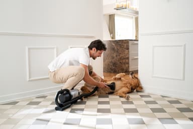 Nilfisk S1 Pet Care Sladdlös Skaftdammsugare 128390168
