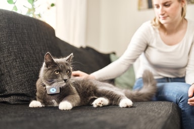 Lildog GPStracker för katter Elgiganten