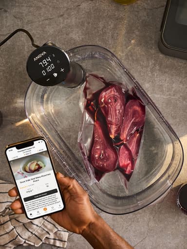 Anova Precision Cooker Nano 3.0 sous vide-pinne AN425-EU00