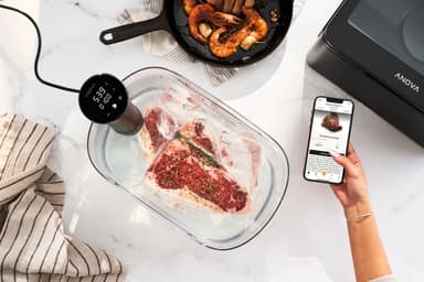 Anova Precision Cooker Nano 3.0 sous vide-pinne AN425-EU00