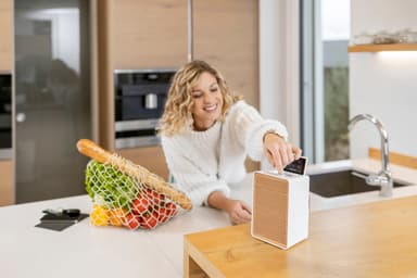 Pure Evoke Spot Wood Edition digitalradio (vit)