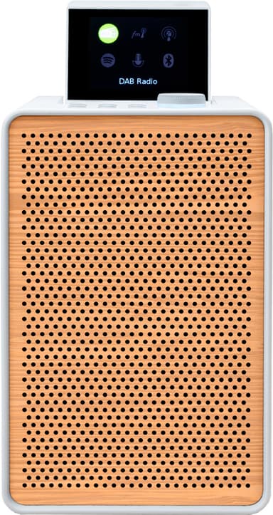 Pure Evoke Spot Wood Edition digitalradio (vit)