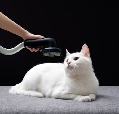 Roidmi RS60 cordless skaftdammsugare 800024 (silver)