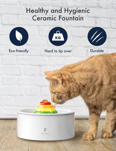 Petlibro Rainbow vattenfontän för husdjur