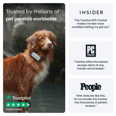 Tractive DOG XL Adventure Edition GPS tracker hund