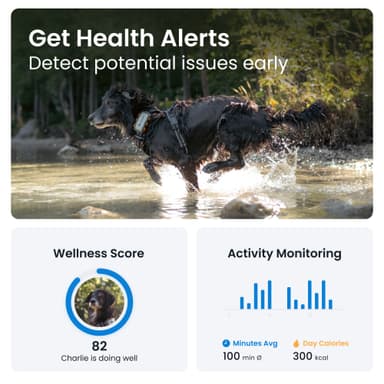 Tractive DOG XL Adventure Edition GPS tracker hund