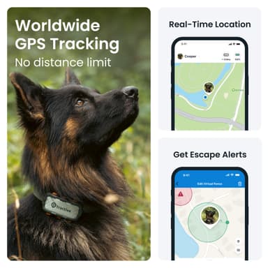 Tractive DOG XL Adventure Edition GPS tracker hund